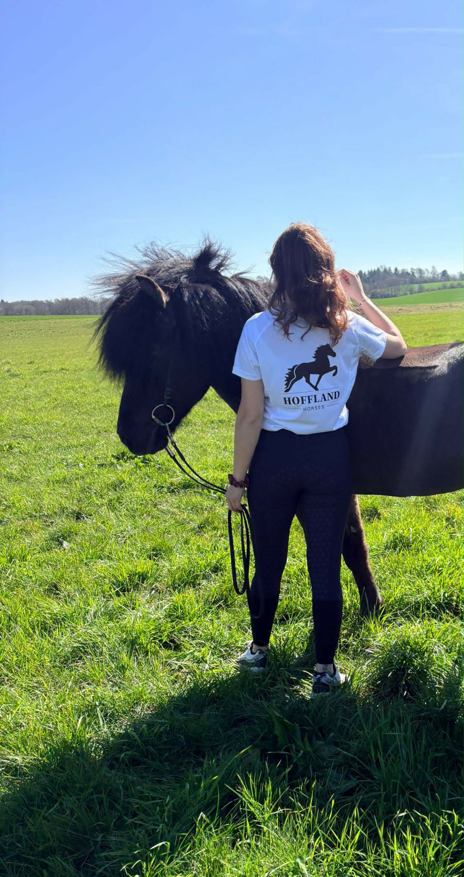 HOFFLAND - HORSES